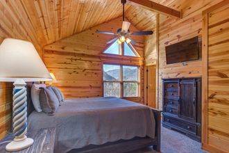 其他 4 Chilling Bear Lodge