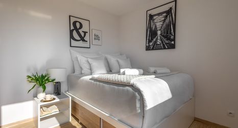 Others 2 Starter Apart Wrocław