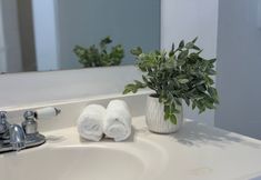 Others 5 Islands Inn on the Drive - Reflection Room - Queen Bed - B3