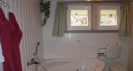 Others 2 Ferienhaus mit Sauna im Ferienpark Mirow