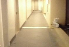 Others 6 Favila Condotel - Palm Tree Villas