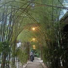 Front of property 6 Mamatua N. Saleo Villa, Pasir Timbul Raja Ampat Hotels