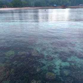 Front of property 7 Mamatua N. Saleo Villa, Pasir Timbul Raja Ampat Hotels