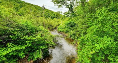 其他 2 Mtn-view Deck & Grill: Creekside Catskills Cabin!