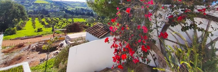 其他 Lagos High Point Nature 1 by Homing