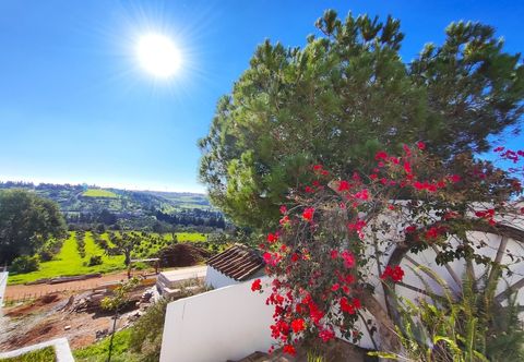 其他 Lagos High Point Nature 1 by Homing