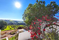 其他 Lagos High Point Nature 1 by Homing