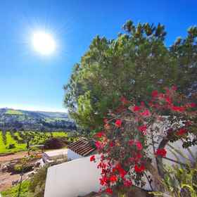 Primary image1Lagos High Point Nature 1 by Homing,拉各斯飯店