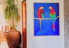 其他 2 Pousada Villa Tupi Ubatuba