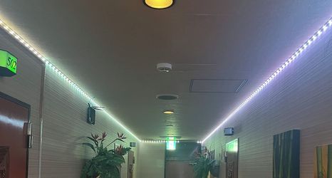 Lain-lain 2 Donkies jungle