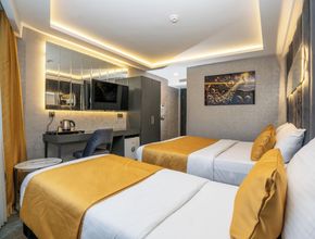 其他 4 216 Silver Suite