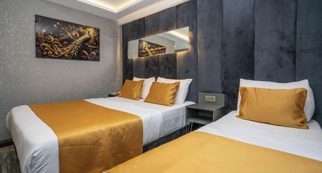 其他 2 216 Silver Suite