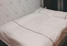 Others 7 Pebble Motel (Shanghai Gucun Park Jutai Road)