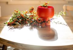 其他 6 Wood Oven House I in Azeit o