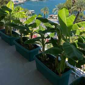 Primary image 1 Mai Rooms Fethiye, Hotel Pasar Ikan Fethiye