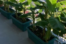 Others Mai Rooms Fethiye