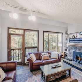 Primary image 1 Mt Baker Lodging Condo 55sw - Sleeps 4, Great Community Aemenities, Whatcom County Apartments