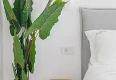 Others 5 Ototo Luxury Living