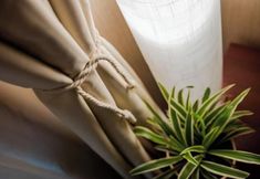 Lain-lain 6 Meiyu Hotel