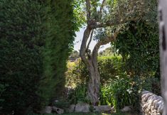 Khác 6 L Isola Nell Isola Country House