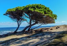 Khác 6 La Caletta Apartments