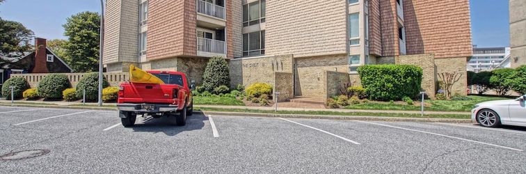 其他 THE Crest 304