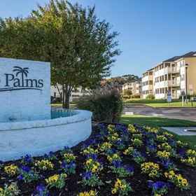 Primary image 1 Palm Drive 36501 #1306, Sarangi Satyajit MD Hotels