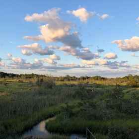 Primary image 1 파뷰 로드 36, Sarangi Satyajit MD 호텔