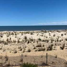 Primary image1Beachcomber 5,特拉华州公寓