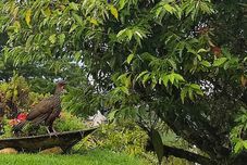 其他 Canto dos Amores Suítes