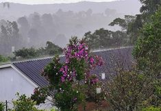 其他 6 Canto dos Amores Suítes