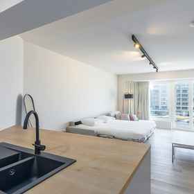 Primary image 1 Modern Studio With sea View, Gistel Apartments