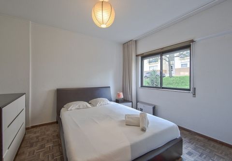 기타 Pontinha Typical by Homing