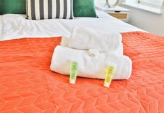 기타 7 3 Bed Duplex in Central Pontcanna