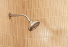 Others 2 Jungle Safari Lodge