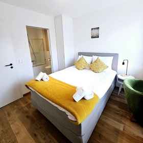 Room 1 宽敞的三卧室大露台和停车场, 卢森堡 Apartments