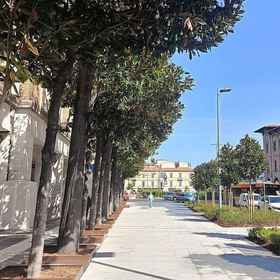 Primary image 1 A Pisa con Amore, Santo Stefano dei Cavalieri Pisa Hotels