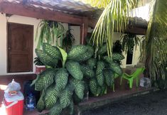 其他 7 Birds House, Puerto San Jose