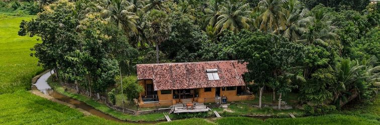 Others Kirindi Paddy Isle