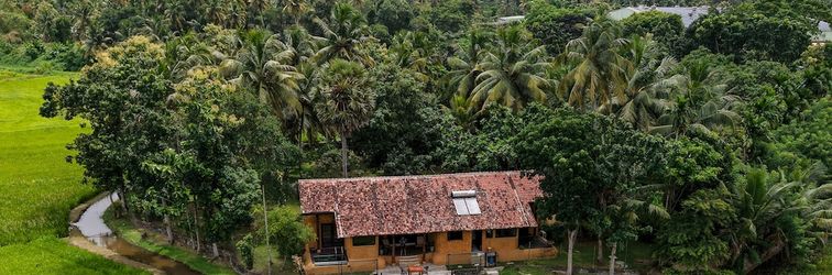 Others Kirindi Paddy Isle