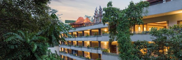 その他 ANUMANA DE SUITE