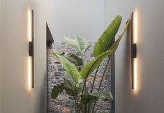 Khác 3 Neromai Cave Luxury Villas