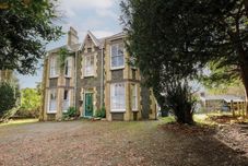 其他 Plas Dorothea