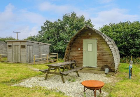 その他 Badger Set @ Penbugle Organic Farm