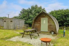 その他 Badger Set @ Penbugle Organic Farm