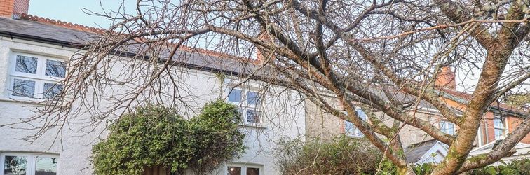 其他 Briar Orchard Annex