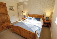 Lain-lain 4 Natterjacks