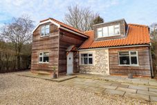 Lain-lain Natterjacks