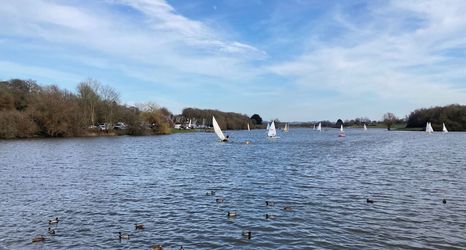 其他 2 The Bull Pen