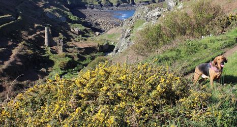 อื่นๆ 2 The Stables